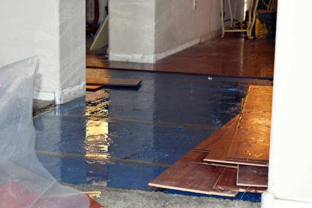 Professional Emergency Water Damage Restoration technician working in Canfield, OH